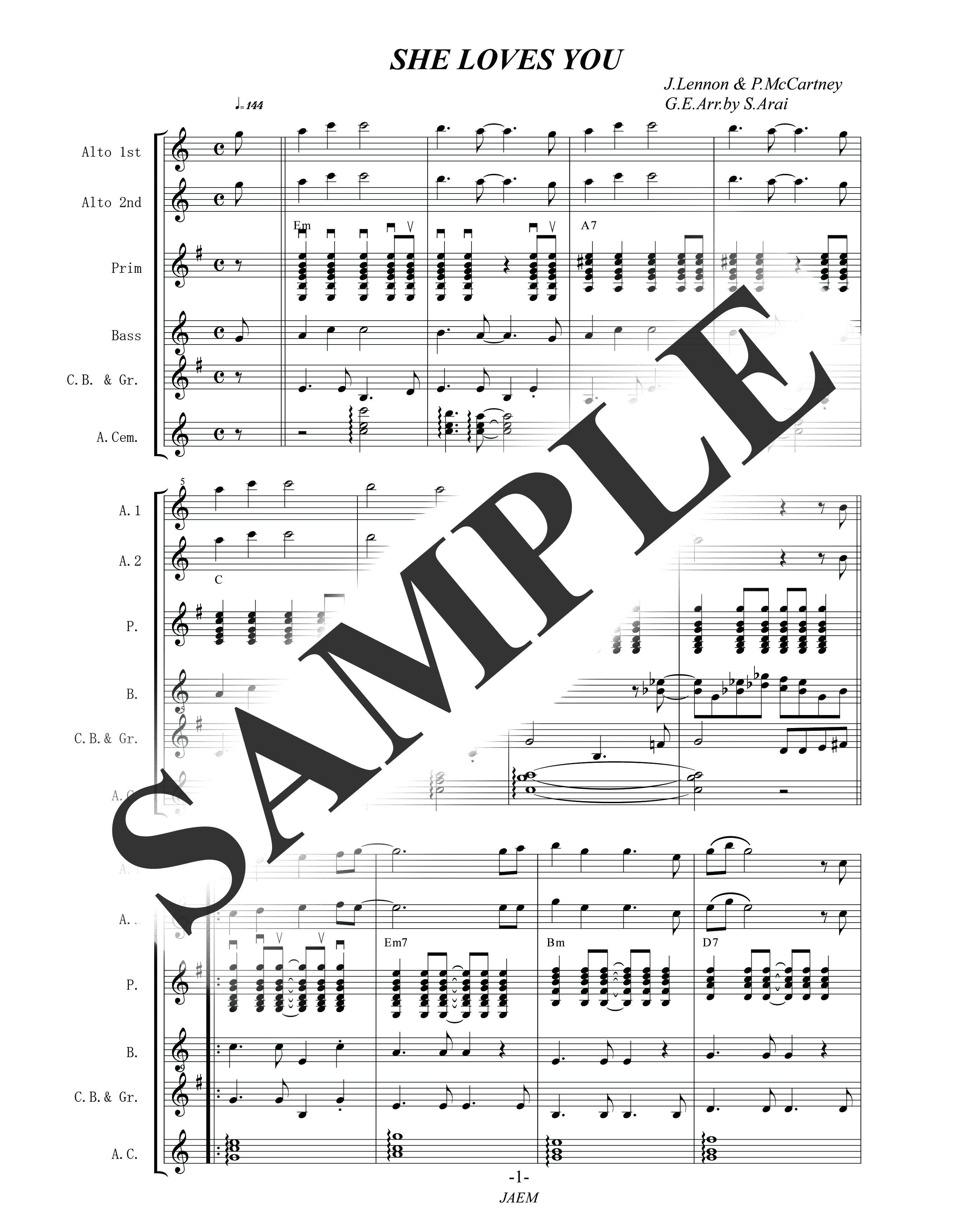 ビートルズ／SHE LOVES YOU