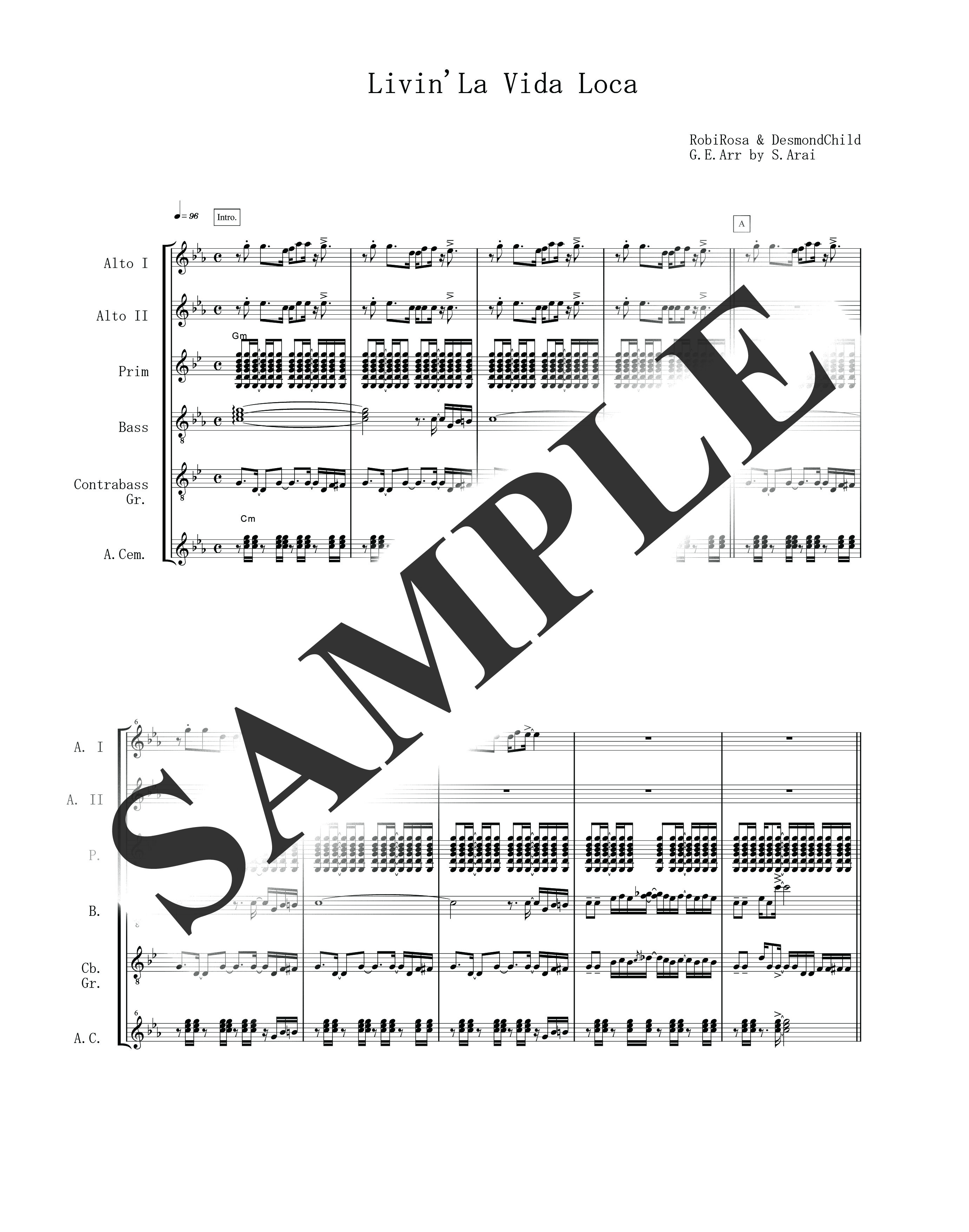 リッキー・マーティン／Livin'La Vida Loca