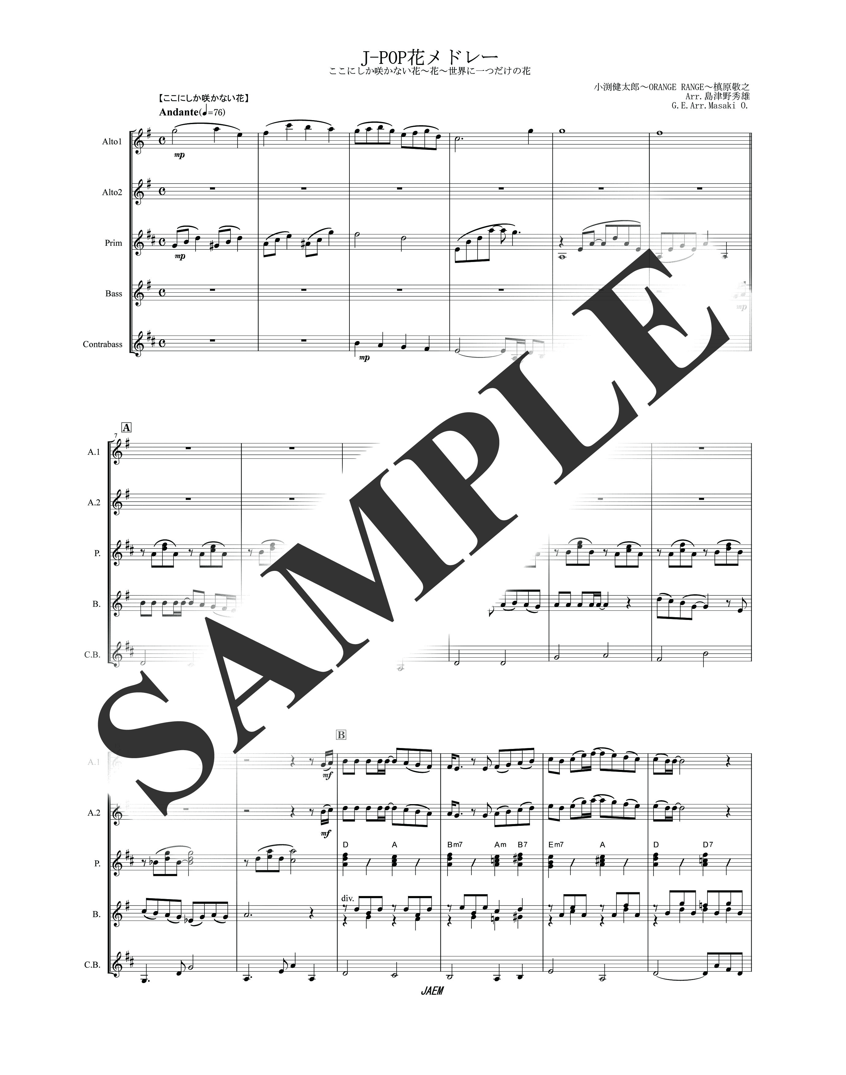 『その他』／J-ＰＯＰ花メドレー（ここにしか咲かない花～花～世界に一つだけの花）