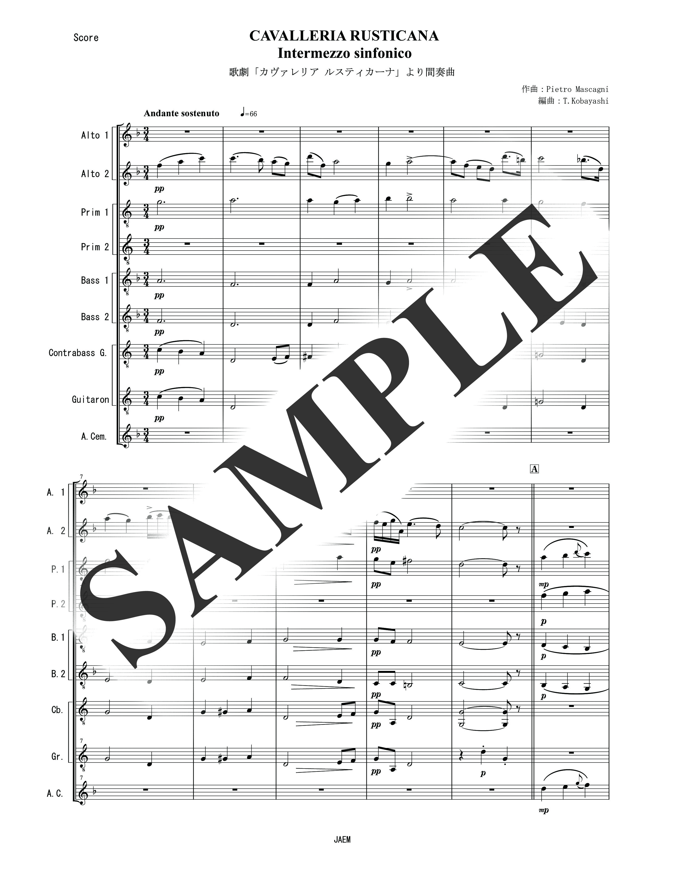 P.マスカーニ／「カヴァレリア ルスティカーナ」より間奏曲